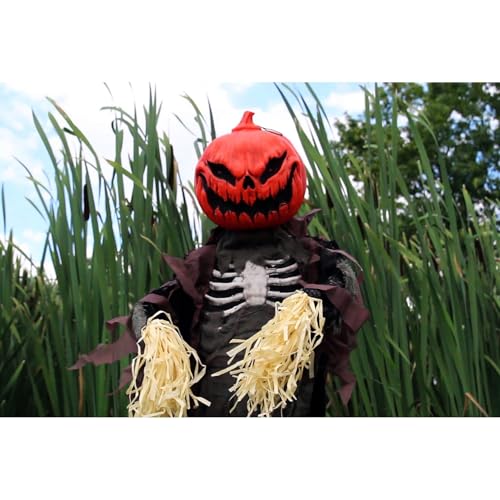 Haunted Hill Farm Life-Size Poseable Pumpkin Scarecrow, Halloween Animatronic with Touch Activated Lights and Sound, Scary Frigh